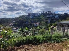Hình ảnh Bán đất 219m2 view đồi thông, góc 2 mặt tiền Hoàng Hoa Thám Đà Lạt