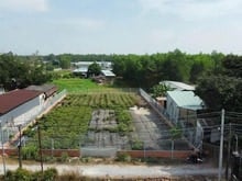 Hình ảnh Đất thổ vườn khu dân cư xã vĩnh thanh phù hợp xây dựng nhà vườn