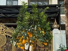Hình ảnh Bán nhanh căn nhà Siêu Hiếm. Ful nội thất xịn sò. Có một không hai tại