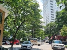 Hình ảnh Bán Liền kề KĐG Tứ Hiệp, khu trung tâm tiềm năng phát triển mạnh, 95m