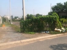 Hình ảnh Cho thuê đất trống 2000m2 Thạnh Lộc, gần cao đẳng Điện lực Q12