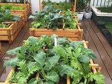 Hình ảnh Căn nhà nhỏ xinh mà có chất- Từ Liêm- Hà Nội