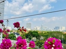 Hình ảnh CHỐT NHANH - GIÁ TỐT Hàng hiếm! Penthouse Mỹ Tú Cảnh Quang Phú Mỹ Hưng