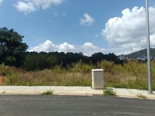 Hình ảnh Bán đất biệt thự View đồi thông KQH An Sơn Đà Lạt, cách trung tâm 3km