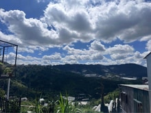 Hình ảnh Bán đất View rừng thông rất đẹp đường ô tô Hoàng Hoa Thám Đà Lạt