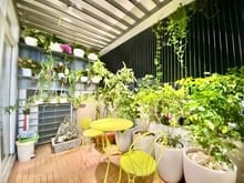 Hình ảnh Cho thuê CH 3PN, 120m2, giá siêu hời tại Cảnh Viên 2, p Tân Phú, Q7.