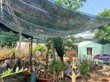 Hình ảnh Chỉnh Chủ Gửi Bán Lô Đất Hẻm 47 Đường số 14 Khu Phước Bình Quận 9