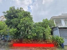 Hình ảnh Bán Lô Đất 144m2 Ngang 7m Hẻm 114 Ngô Chí Quốc, Bình Chiểu Thủ Đức