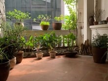 Hình ảnh Bán đất đầu ngõ Văn Cao, BĐ giá 12.2 tỷ, 37m2x2T, ngõ thông