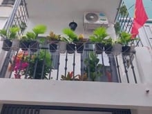 Hình ảnh Cách mạng Tháng 8 - cách chợ Hoà Hưng 200m - 46m² – chỉ 2.9 tỷ