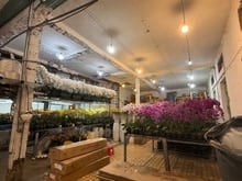Hình ảnh Cho thuê nhà  479 Lê Hồng Phong, Phường 2, Quận 10.