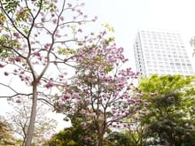Hình ảnh Bán CH Happy Valley, Dt 100m2, view 01, 3PN, 2WC, NTDT, giá bán 9,8 tỷ