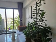 Hình ảnh Chung cư IDiCO Luỹ Bán Bích, TP: Block C, nhà mới, 10,5tr, 2PN, NT mới