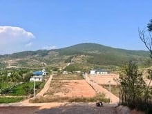 Hình ảnh Đất 2 mặt tiền – nằm trong thung lũng thông xanh, không gian cực chill