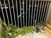 Hình ảnh Giá 10tr/tháng, Chung cư Screc, 58m2, 1PN, 1WC, Nội thất đủ, Nhà khá m