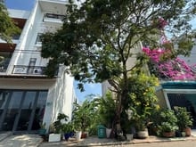 Hình ảnh Đất Đường Số 1 Long Trường (KDC Sông Ông Nhiêu) -52m2 - 3.7 tỷ