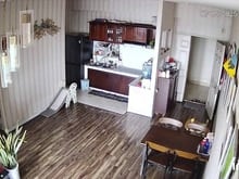 Hình ảnh Chính chủ cần bán Trang Chủ MB66.COM / Đăng Ký Tặng 66K chung cư Lê Thành block B đường Số 4, P. An L