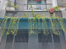 Hình ảnh 🏠 Lạc Long Quân, P5, Q11 🚩 Ngay Nhà thờ giáo xứ Phú Bình, Chợ Phú Bì