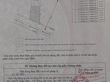 Hình ảnh MT Trịnh Quang Nghị, xã Phong Phú, Bình Chánh, DT 333,9m2, 13.xxx