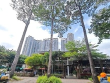 Hình ảnh Nhà 3 tầng - Phạm Văn Hai - Lê Văn Sỹ - Hoàng Sa - 110m2 - 13.5 tỷ