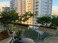 Hình ảnh Cho thuê nhanh Trang Chủ MB66.COM / Đăng Ký Tặng 66K cao cấp Riverpark Premier nhà đẹp sạch sẽ