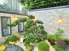 Hình ảnh Chính chủ cần bán gấp BT Giang Văn Minh, P.An phú DT 240m2 nhà đẹp nhỉ
