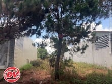 Hình ảnh Bán Đất nền KDC Phú An, Xã Diên Phú, Pleiku Gia Lai