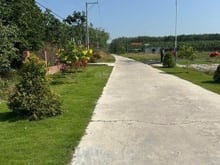 Hình ảnh Dừng Thuê Trọ Sở hữu ngay lô đất thổ cư Sổ Riêng Giá 430 triệu
