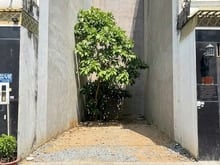 Hình ảnh Bán Đất Đường số 12 Trường Thọ Thủ Đức Gần Ga Metro Bình Thái. 5.6 tỷ