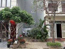 Hình ảnh Chính chủ bán Đất dịch vụ LK31 Dương nội  Hà đông 50m2 Hướng Đông Nam