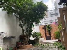 Hình ảnh Mặt tiền gần chợ Gò Vấp, 104m2, 2T sân vườn, không gian BBQ,chỉ 7 tỷ 8