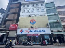 Hình ảnh BÁN NHÀ MẶT TIỀN HUỲNH VĂN BÁNH – QUẬN PHÚ NHUẬN – NGANG 12M HIẾM CÓ