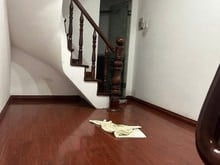 Hình ảnh ngay trung tâm quận Tân Bình, cách mạng tháng tám, quận Tân Bình, 5ty