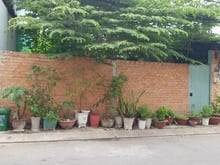 Hình ảnh Bán đất Hóc Môn – Sổ đỏ riêng – lô đất đẹp – Giá 8,25 tỷ – Chính chủ