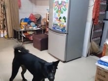 Hình ảnh Bán nhà siêu hiếm khu Chợ Lớn trung tâm Quận 6 cũ