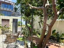 Hình ảnh House for rent single -story with garden West Nha Trang 19 million