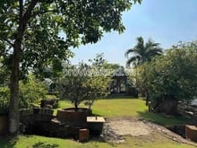 Hình ảnh Bán đất bờ sông Long Phước Thủ Đức, 5.000m², thích hợp compound