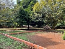 Hình ảnh Chỉ 350 Triệu Sở Hữu Ngay 107m² Đất Trung Tâm Dầu Giây - Sổ Hồng Riêng