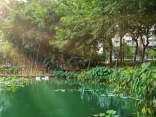 Hình ảnh The Glen- Full rổ hàng (Căn góc - căn thường) mua giá gốc CĐT, TT 3năm