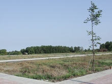 Hình ảnh Cần bán miếng đất 2 mặt tiền view sông Đinh Đức Thiện.Sổ Hồng Riêng