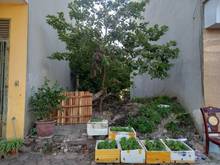 Hình ảnh Bán gấp 48m2 đất đẹp ngõ 61 Phố Trạm Long Biên , ngõ thông Ô tô vào
