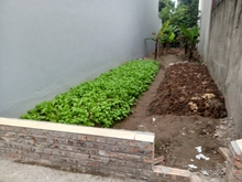 Hình ảnh Bán hộ chị gái 40m đất ngõ ô tô vào , cách ô tô tránh 20m Phú Viên ,BD