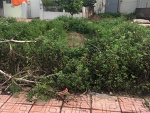 Hình ảnh Cần tiền chữ bệnh bán gấp 73,7m TT7 Đấu Giá Cự Khối