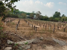 Hình ảnh Phú Hòa Đông củ Chi  Bán đất trồng cây dt 4800 m có 200 m thổ cư khu d