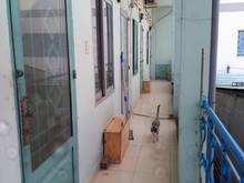 Hình ảnh Phòng trọ an ninh, sạch sẽ tại trung tâm Quận 1, 18m2 giá 4.5 triệu