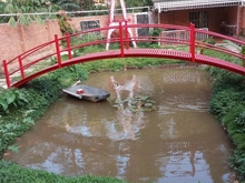 Hình ảnh Bán nhà đất ngay trung tâm thành phố Buôn Mê Thuột