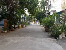 Hình ảnh Khu kinh tế vàng Thảo Điền, Quốc Hương, quận 2, 70m2, dân trí cao cấp.