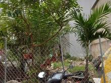 Hình ảnh Quận 12, Nguyễn Thị Búp, Tân Chánh Hiệp, HXH Tới Đất, 56M2, Nhỉnh 3 Tỷ