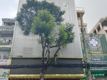 Hình ảnh Bán gấp nhà MT Võ Thị Sáu, Phường Tân Định, Quận 1(8x24m) 5 tầng,
