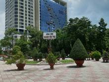 Hình ảnh Bán Nhà tân bình - nhỏ đẹp - gần cv Hoanh Văn Thụ